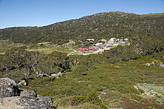 070226 Australia 2007 - Photo 1086