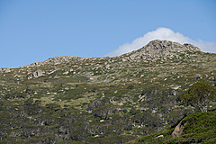 070226 Australia 2007 - Photo 1088