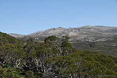 070226 Australia 2007 - Photo 1090