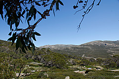 070226 Australia 2007 - Photo 1091