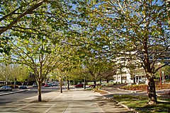 070226 Australia 2007 - Photo 1096
