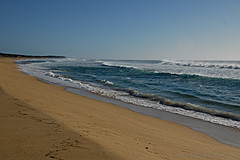 070226 Australia 2007 - Photo 1127