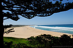 070226 Australia 2007 - Photo 1135