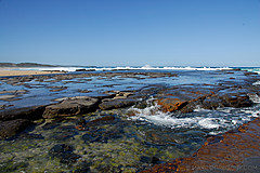070226 Australia 2007 - Photo 1147