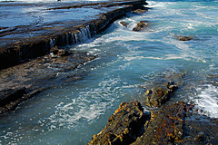 070226 Australia 2007 - Photo 1149