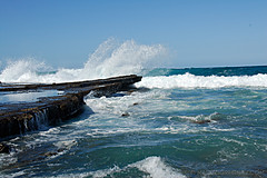 070226 Australia 2007 - Photo 1151