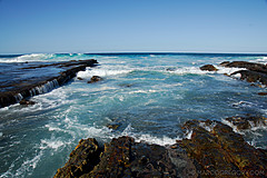070226 Australia 2007 - Photo 1152