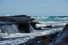 070226 Australia 2007 - Photo 1156