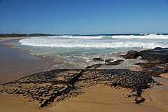 070226 Australia 2007 - Photo 1159