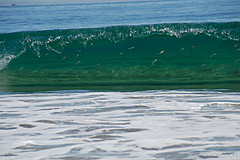 070226 Australia 2007 - Photo 1165