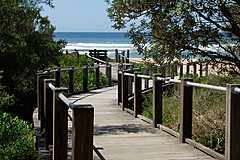 070226 Australia 2007 - Photo 1176
