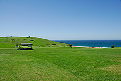 070226 Australia 2007 - Photo 1179
