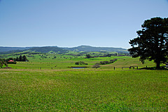 070226 Australia 2007 - Photo 1180