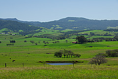070226 Australia 2007 - Photo 1181