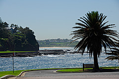 070226 Australia 2007 - Photo 1186