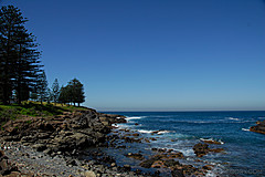 070226 Australia 2007 - Photo 1190