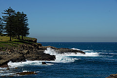 070226 Australia 2007 - Photo 1195