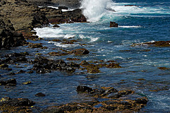 070226 Australia 2007 - Photo 1199