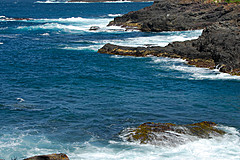 070226 Australia 2007 - Photo 1200