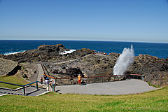 070226 Australia 2007 - Photo 1207