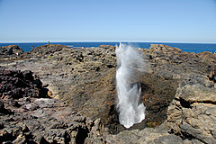 070226 Australia 2007 - Photo 1212