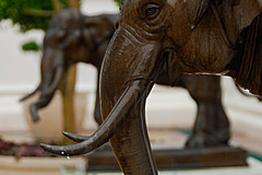 070626 Thailand 2007 - Photo 0070