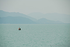 070626 Thailand 2007 - Photo 0134