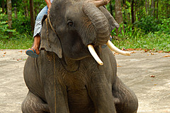 070626 Thailand 2007 - Photo 0151