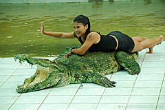070626 Thailand 2007 - Photo 0154