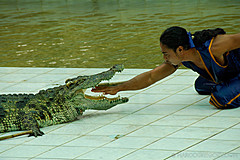 070626 Thailand 2007 - Photo 0155