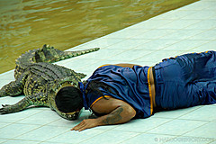 070626 Thailand 2007 - Photo 0156