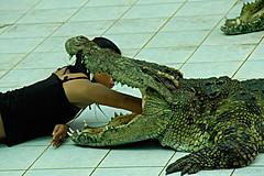 070626 Thailand 2007 - Photo 0158