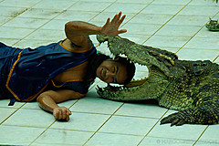 070626 Thailand 2007 - Photo 0159