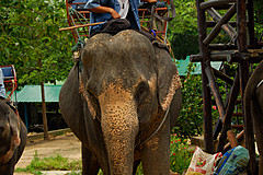 070626 Thailand 2007 - Photo 0160