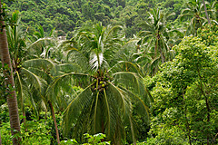 070626 Thailand 2007 - Photo 0163
