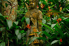 070626 Thailand 2007 - Photo 0177