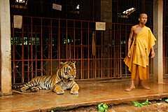 070626 Thailand 2007 - Photo 0218