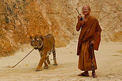 070626 Thailand 2007 - Photo 0220