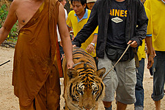 070626 Thailand 2007 - Photo 0223