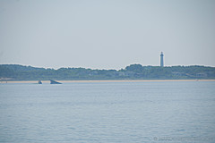 080530 USA Trip 2008 - Photo 0326