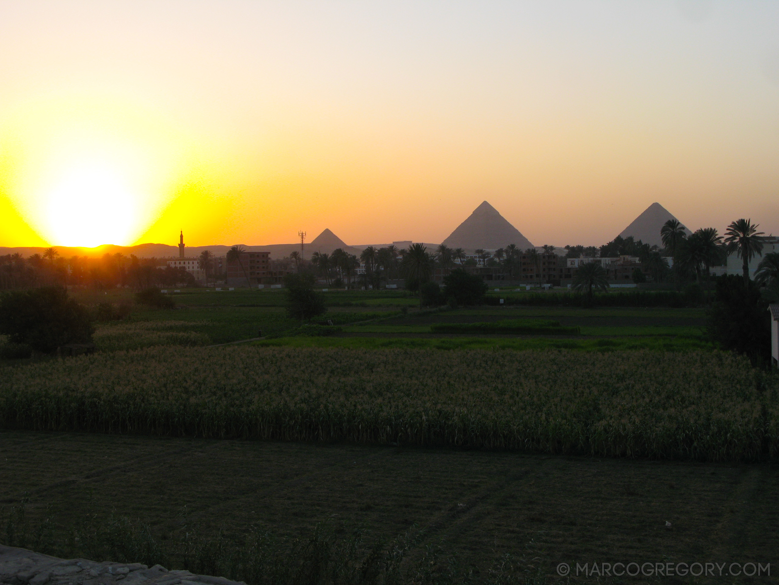 100624 Cairo 2010 - Photo0019 of 29