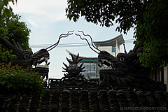 110526 China 2011 - Photo 0186