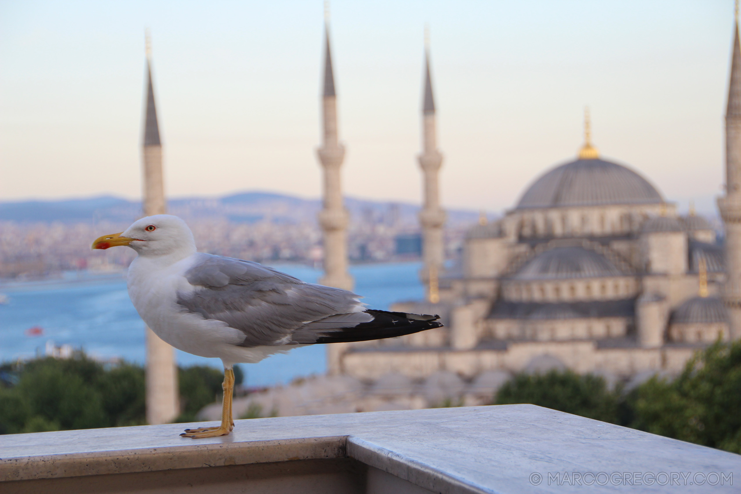 110722 Istanbul 2011 - Photo0055 of 160