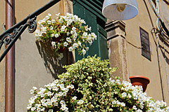 110821 Italy 2011 - Photo 0113