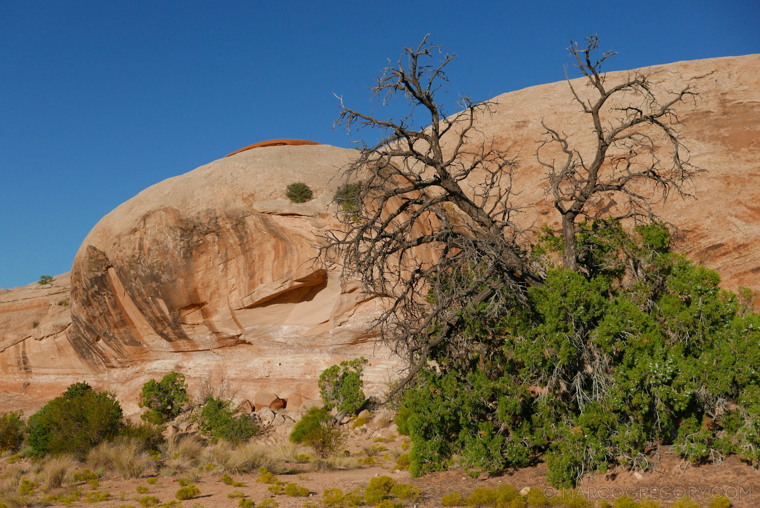 150923 USA 2015 Part 1 - Photo0071 of 292