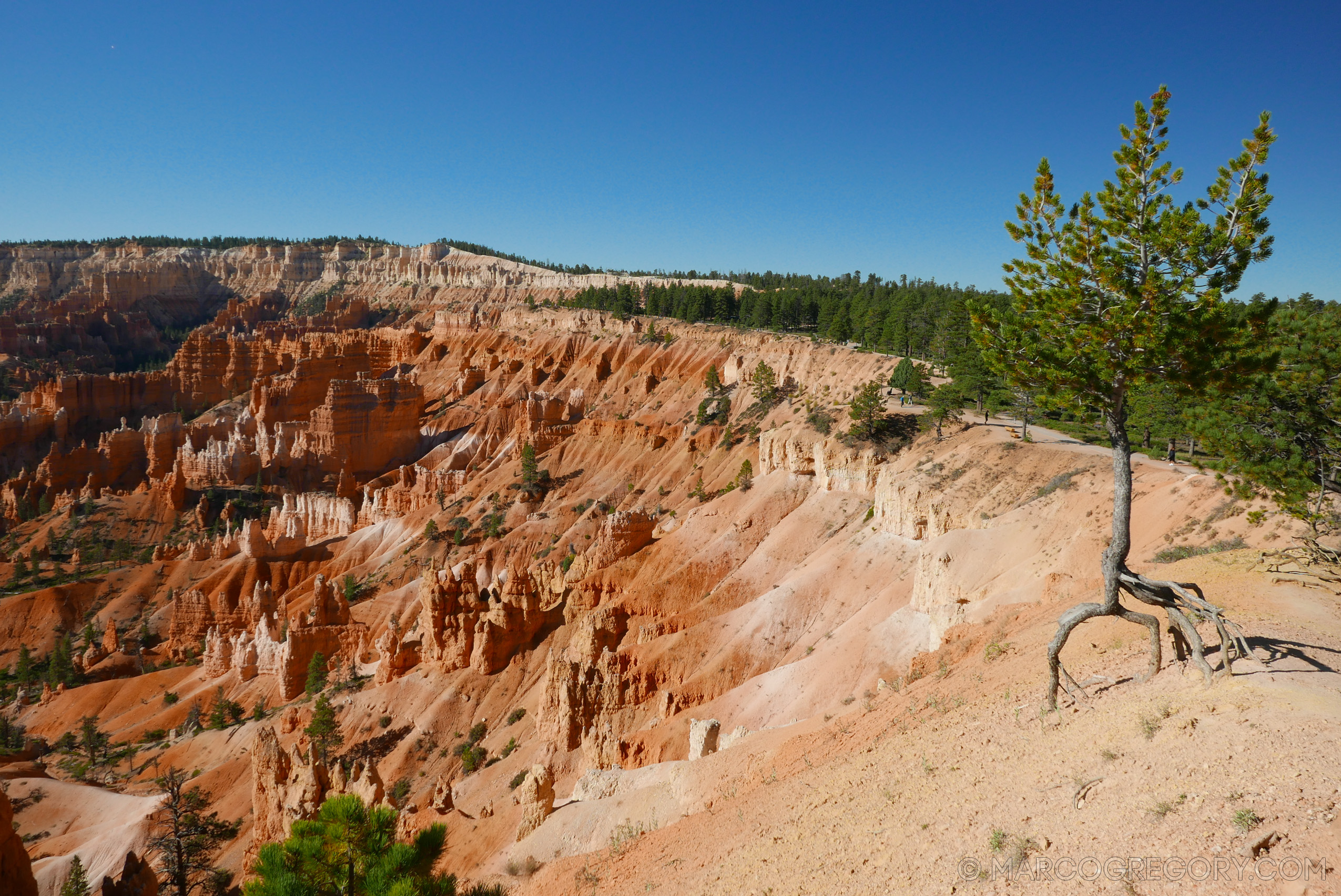 150923 USA 2015 Part 1 - Photo0094 of 292