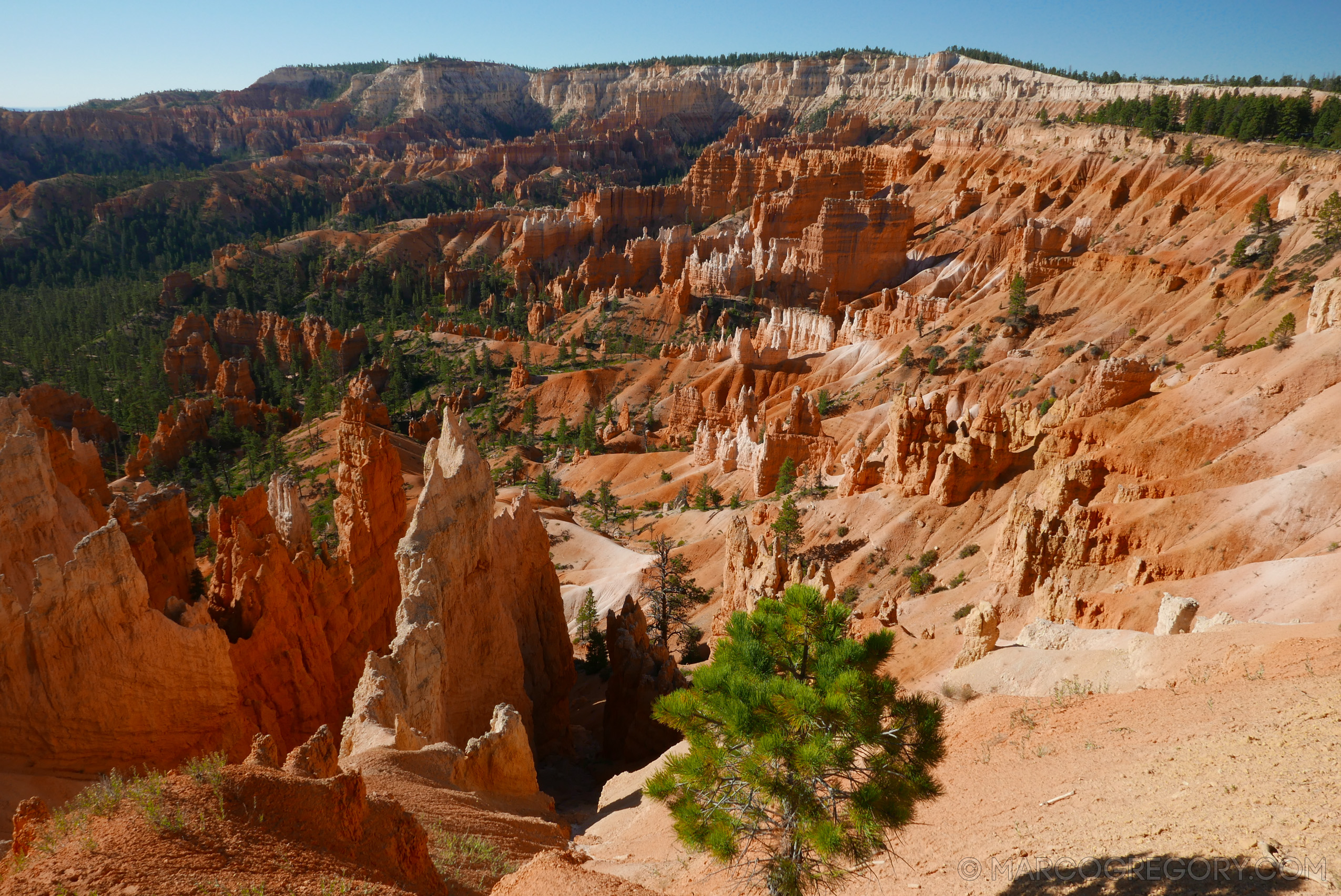 150923 USA 2015 Part 1 - Photo0095 of 292