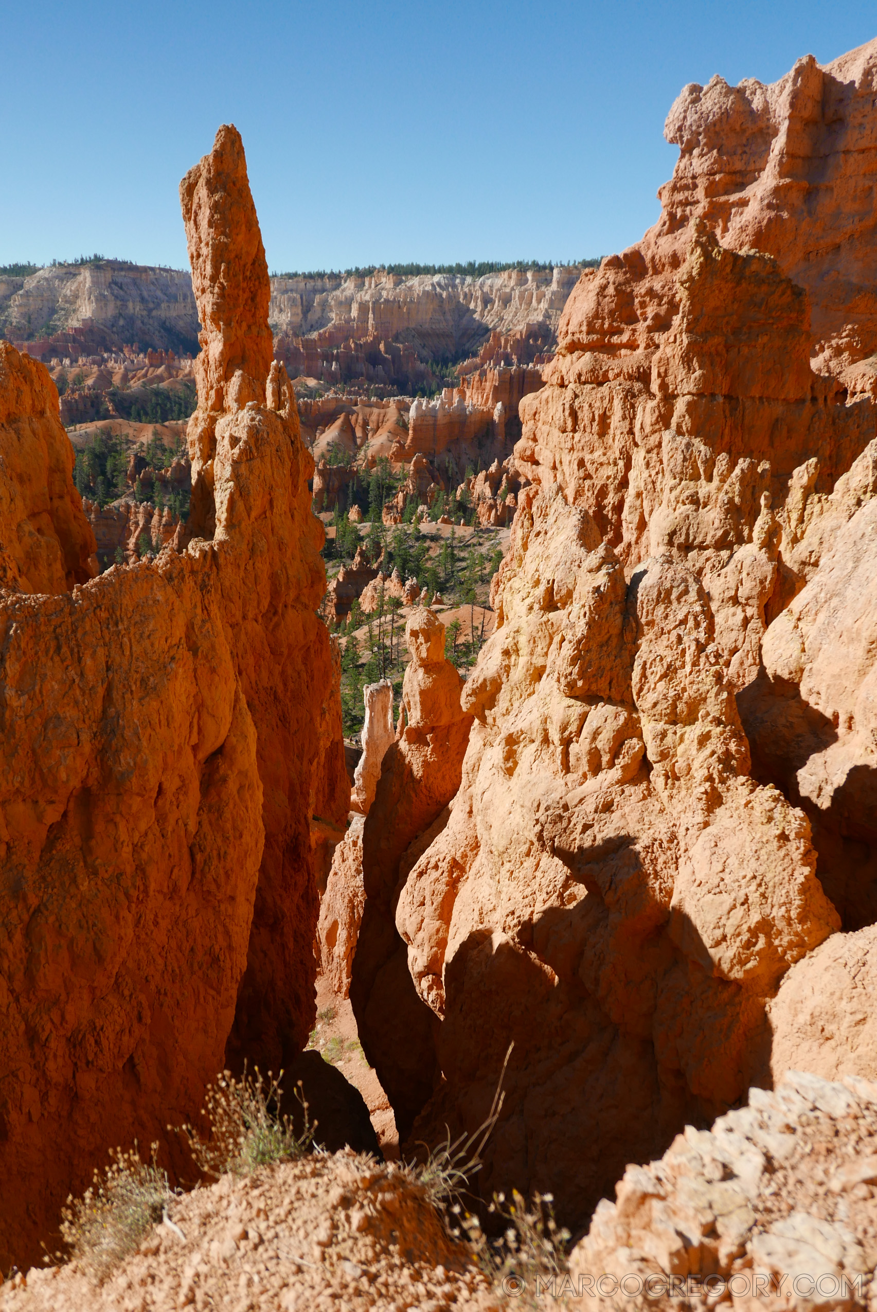 150923 USA 2015 Part 1 - Photo0106 of 292
