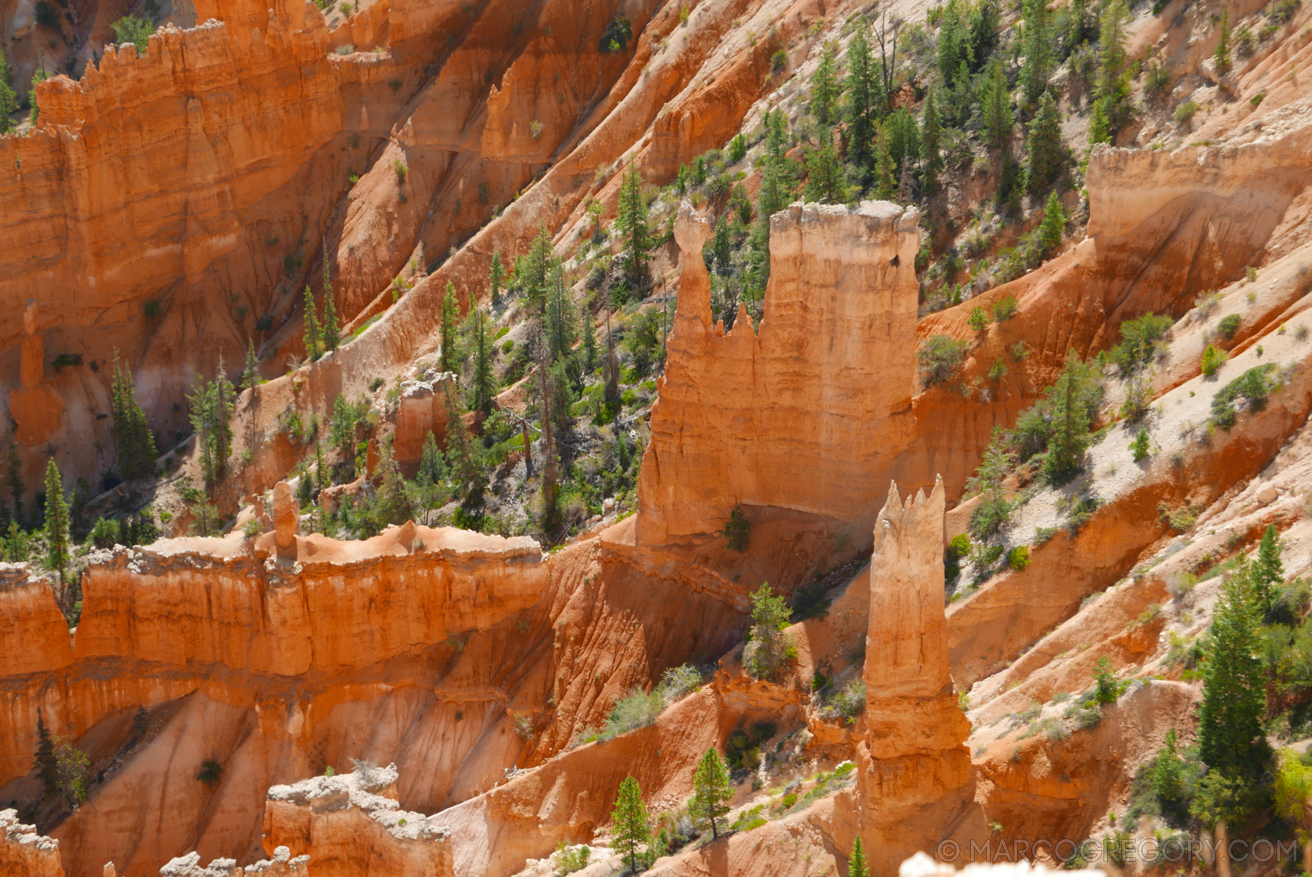 150923 USA 2015 Part 1 - Photo0161 of 292