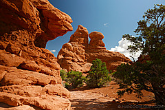 150923 USA 2015 Part 1 - Photo 0028